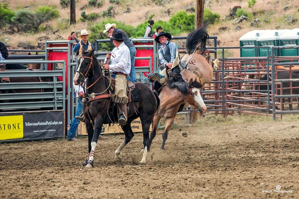 牛仔竞技 - 骑光背马 - woozii - 图虫