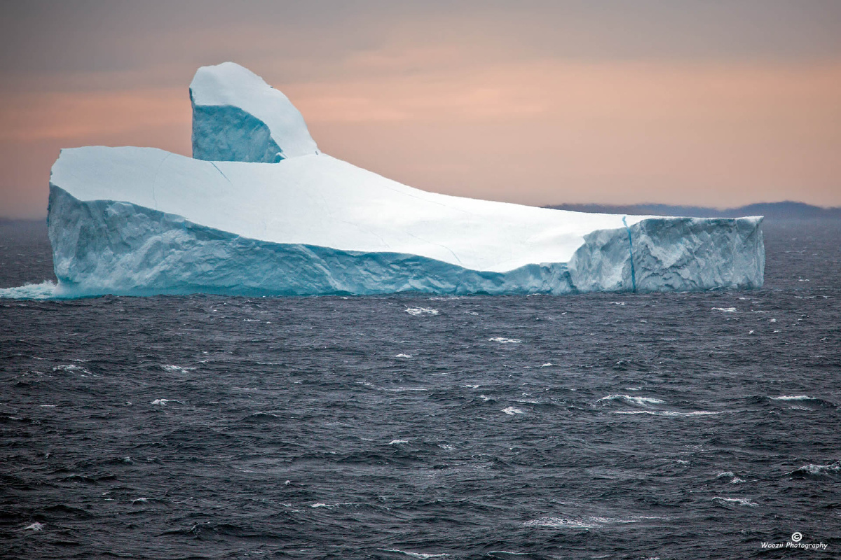 2019格陵兰33戴维斯海峡