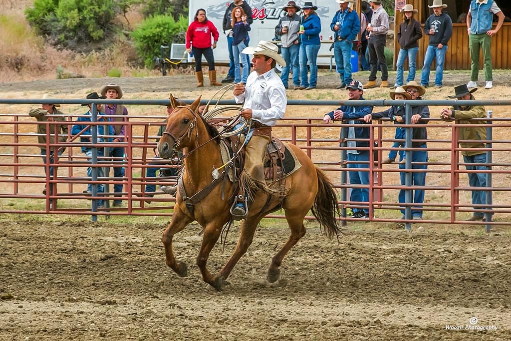 2017美国西部牛仔