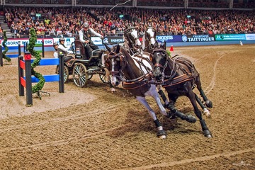 Olympia Horse Show9-9221ed
