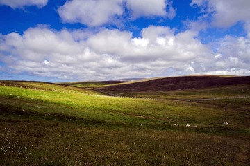 Shetland1-5900ed