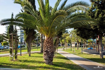 Lemassol4-4783ed