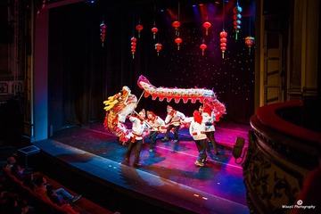 Dragen Dance11-8402ed