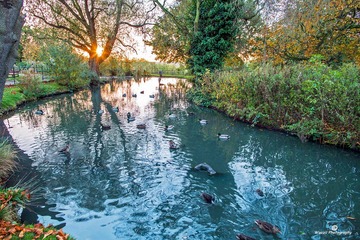 Gladstone PK sunrise1-9807ed