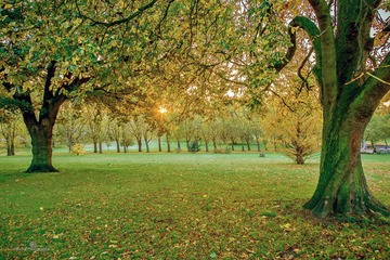 Gladstone PK sunrise3-9761ed