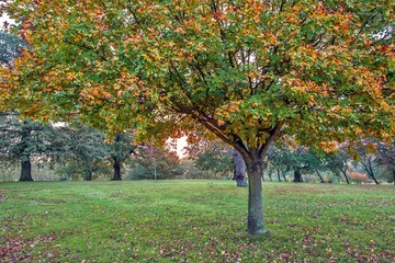 Gladstone PK sunrise5-9868ed