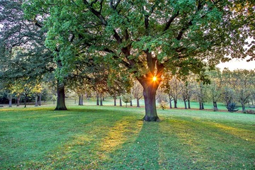 Gladstone PK sunrise8-9767ed
