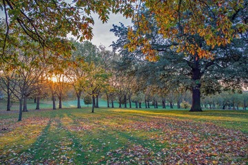 Gladstone PK sunrise12-9786ed
