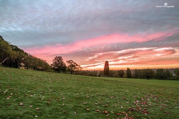 Gladstone PK sunrise13-9729ed