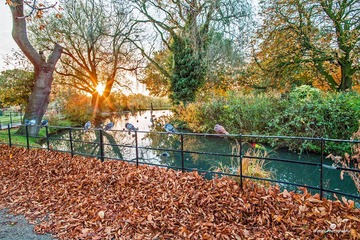 Gladstone PK sunrise14-9820ed