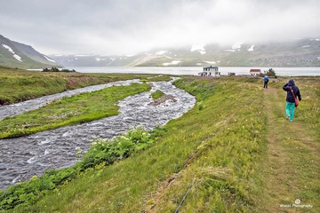 Isafjodur3-3624ed