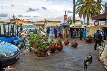 Tangier9-7784ed