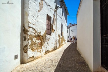 Ronda2-71ed