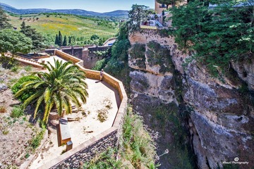 Ronda3-188ed