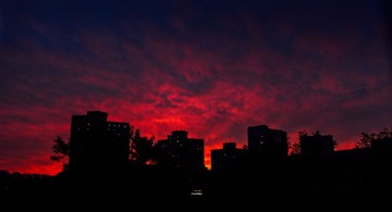 DSC_2716-编辑