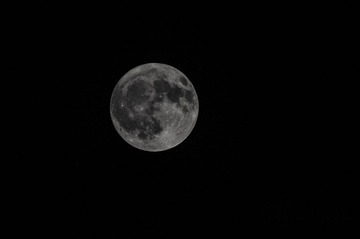 DSC_6562-2