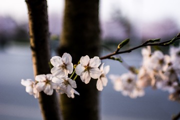 未命名 (52 - 215)