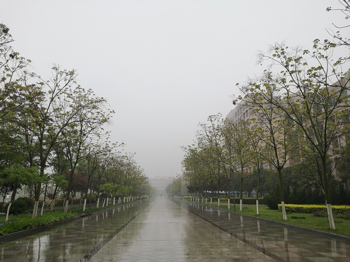 19年8月12日                 · 阅读746                关注