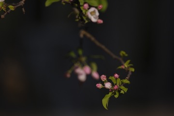 B0E8750E-98BD-40E1-AC7D-0636D7F7F37D/L0/001