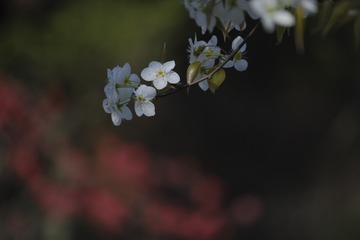 40260D7D-6A47-4130-9FC2-A9F86B74EFAD/L0/001