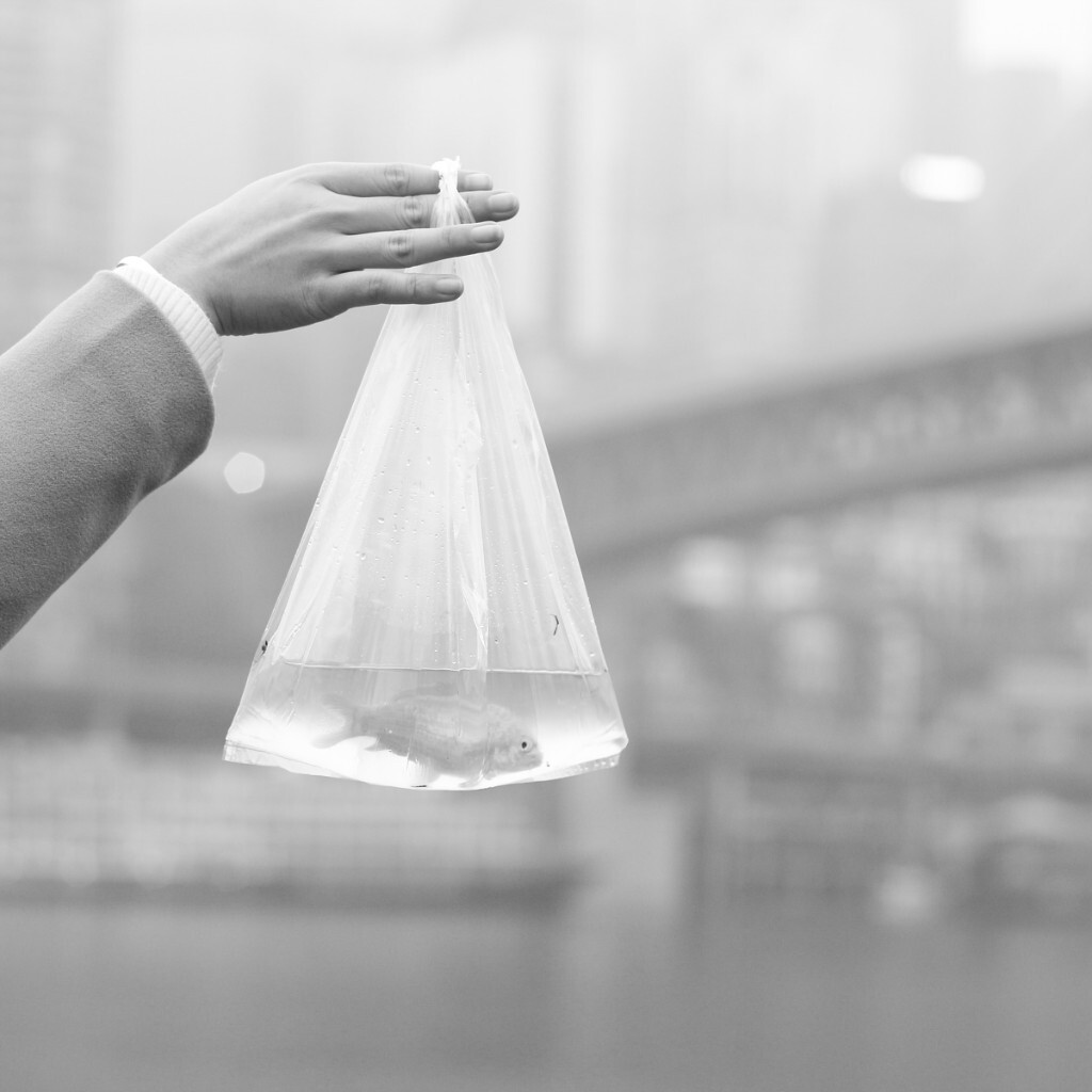 孤独是漫长且深入的<br />
一切看似可以排解孤独的事<br />
都只是对孤独暂时的打断<br />
