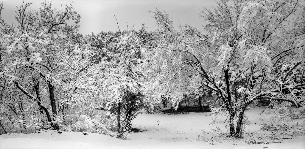 沙慕尼( Chamonix ) 045N2   <br />
施耐德 Super Angulon 90 f8<br />
ILFORD DELTA 100胶片