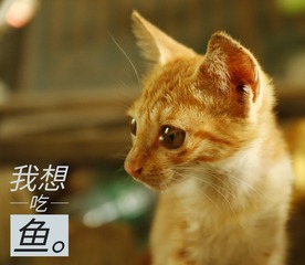 _MG_3709-01