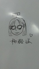 529241