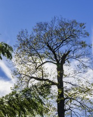 201264