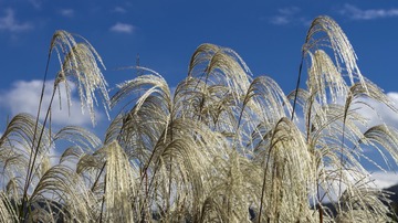 201255
