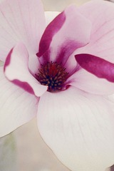 20101