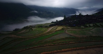 _IGP0177
