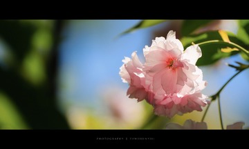 4136F014-2024-4A73-A447-1E51CDAF9CE0/L0/001