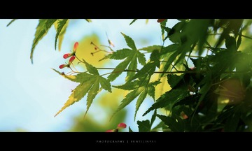 8469EAF4-565A-4F17-9566-9C7B952FB473/L0/001