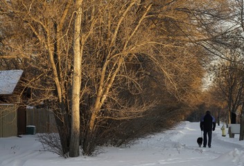 _DSC5620
