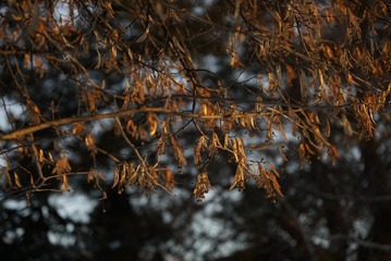 _DSC5608