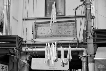 _DSC0119_