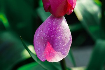 _DSC9243