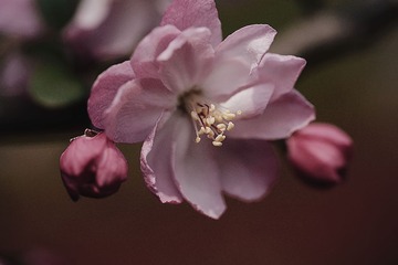 _DSC0596