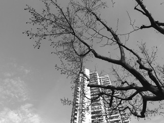 _DSC0574