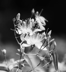 _DSC2430