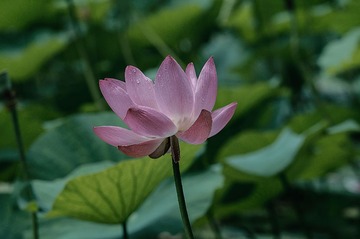 _DSC3472