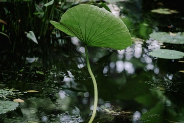 _DSC3474