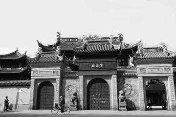 _DSC7636