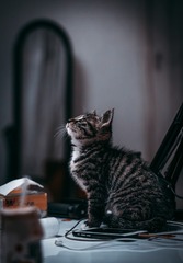 75748