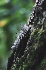 E1406930-E654-4E97-A8DF-1B5207BB5AC0/L0/001
