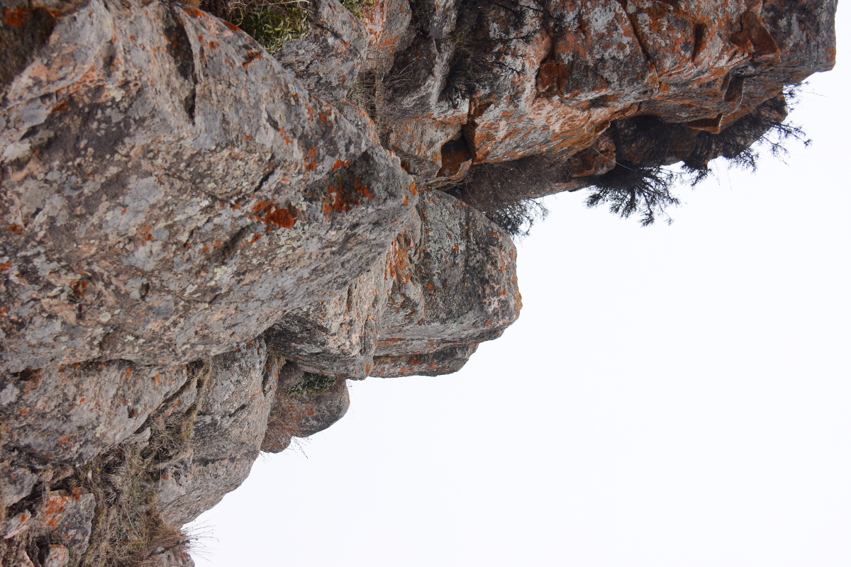 请欣赏马衔山之马东山