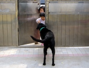 DSC07343【请问你找谁--20130323郑州市华中路刘卫民】