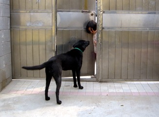 DSC07336【请问你找谁--20130323郑州市华中路刘卫民】