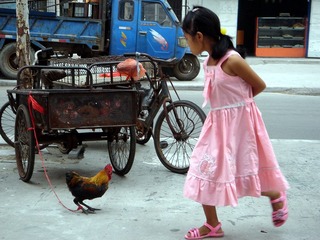 DSC09844【“绳”之以法--20120908郑州市街头拍刘卫民】